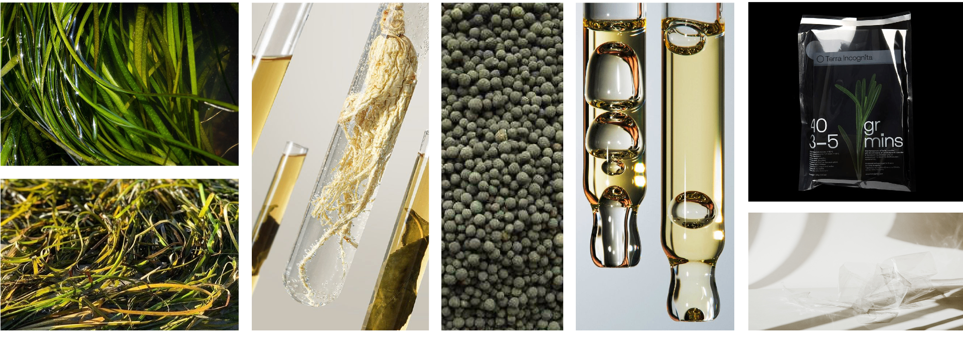 From eelgrass meadows to pellets, oils, compounds and finished films